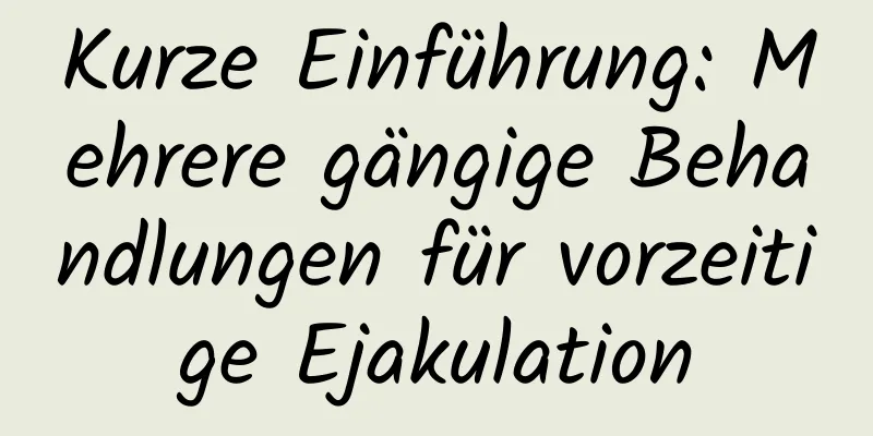 Kurze Einführung: Mehrere gängige Behandlungen für vorzeitige Ejakulation