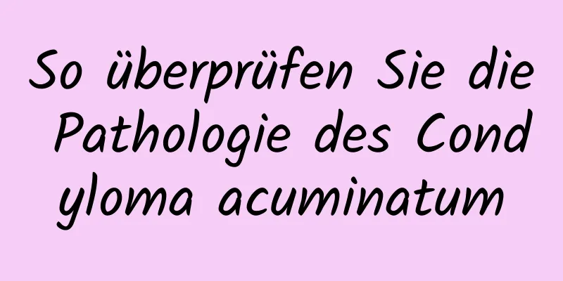 So überprüfen Sie die Pathologie des Condyloma acuminatum