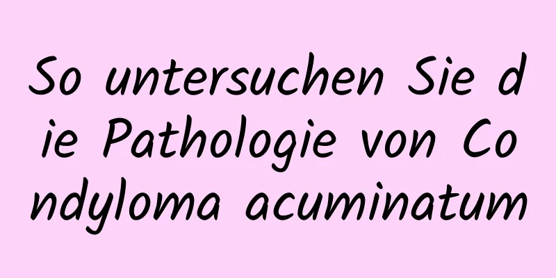So untersuchen Sie die Pathologie von Condyloma acuminatum