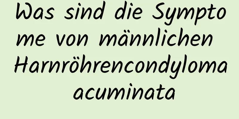 Was sind die Symptome von männlichen Harnröhrencondyloma acuminata