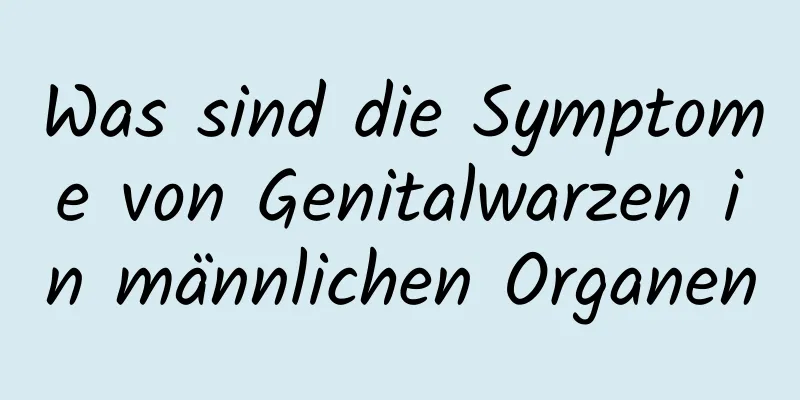 Was sind die Symptome von Genitalwarzen in männlichen Organen