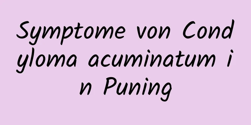Symptome von Condyloma acuminatum in Puning