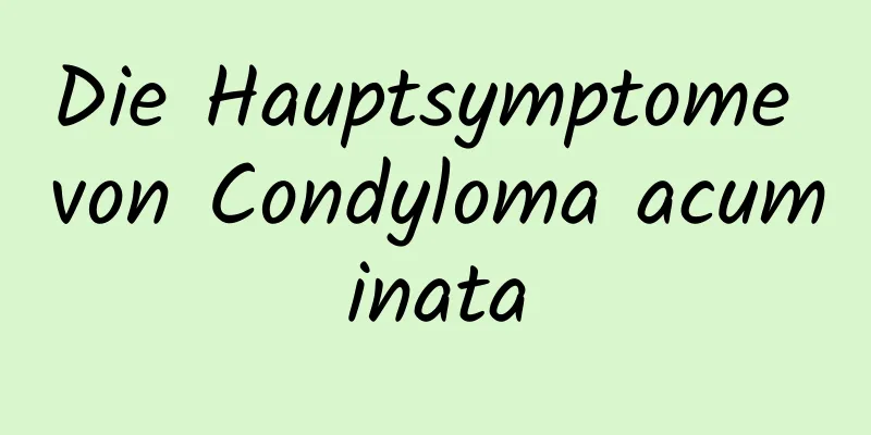 Die Hauptsymptome von Condyloma acuminata
