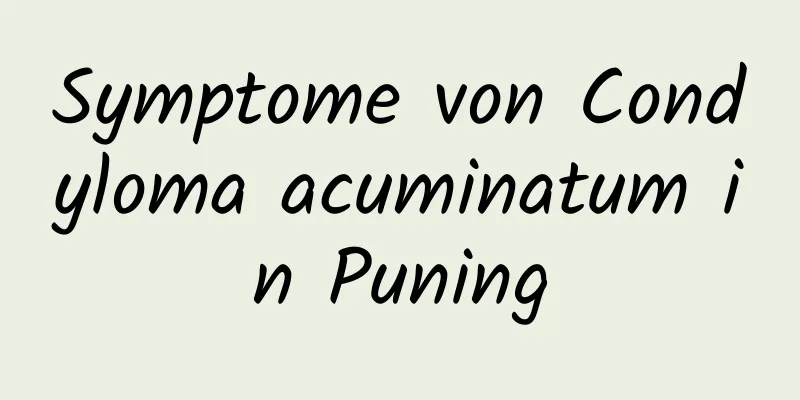 Symptome von Condyloma acuminatum in Puning
