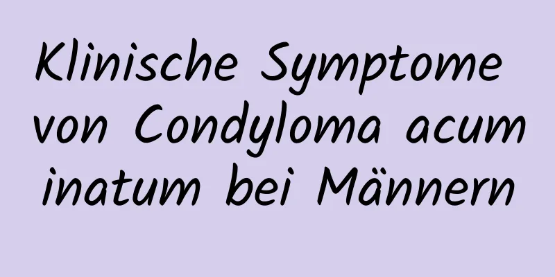 Klinische Symptome von Condyloma acuminatum bei Männern