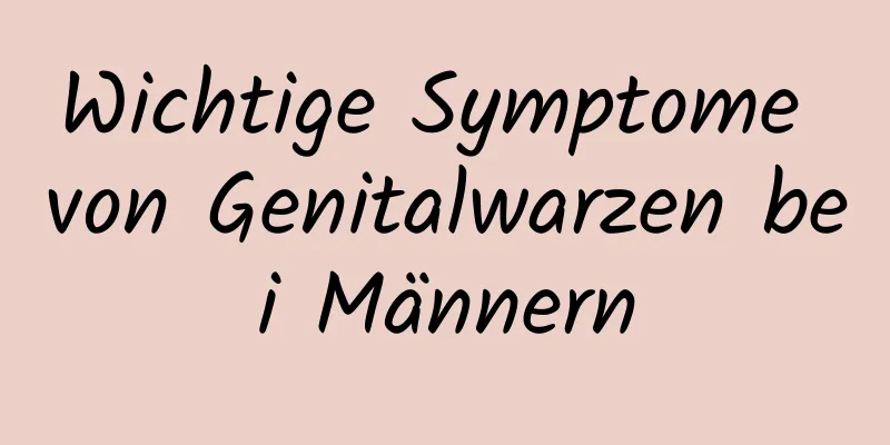 Wichtige Symptome von Genitalwarzen bei Männern
