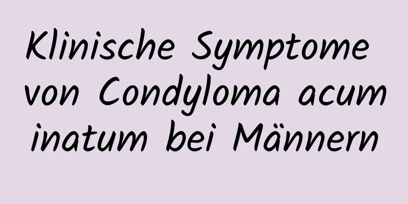 Klinische Symptome von Condyloma acuminatum bei Männern