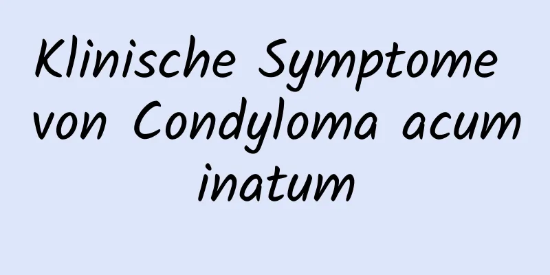 Klinische Symptome von Condyloma acuminatum