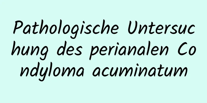Pathologische Untersuchung des perianalen Condyloma acuminatum