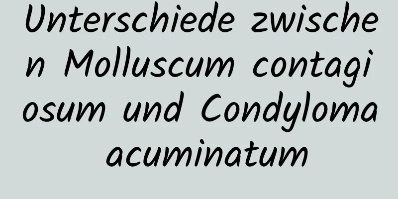Unterschiede zwischen Molluscum contagiosum und Condyloma acuminatum