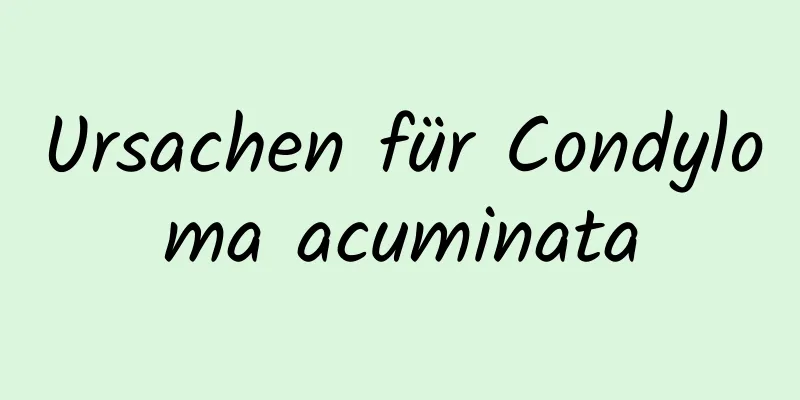 Ursachen für Condyloma acuminata