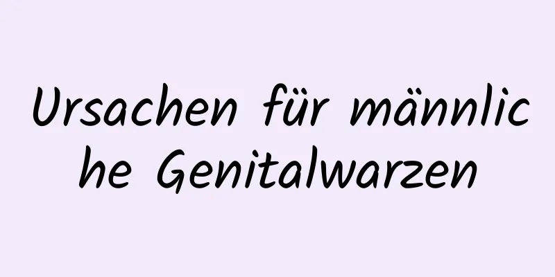 Ursachen für männliche Genitalwarzen