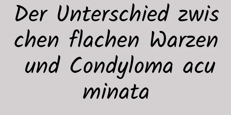 Der Unterschied zwischen flachen Warzen und Condyloma acuminata