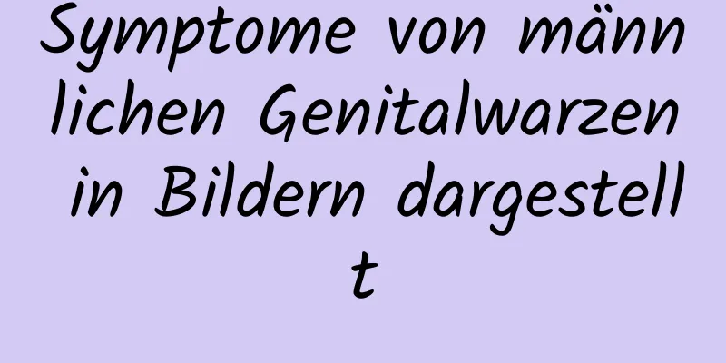 Symptome von männlichen Genitalwarzen in Bildern dargestellt