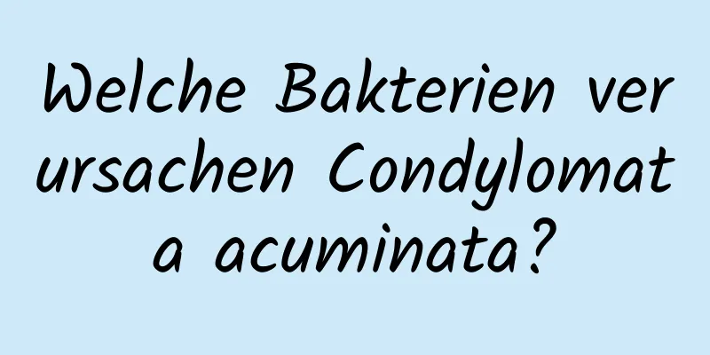 Welche Bakterien verursachen Condylomata acuminata?