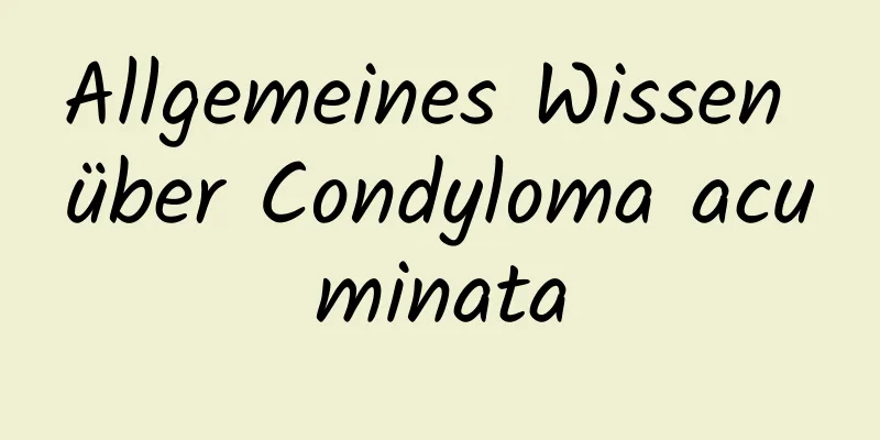 Allgemeines Wissen über Condyloma acuminata